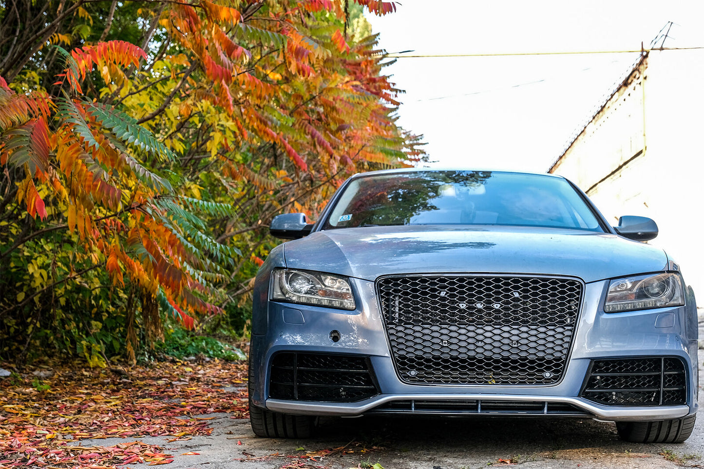 Paraurti per Audi A5 8T Pre Facelift 07-11 RS5 Look Griglie Honey Ray