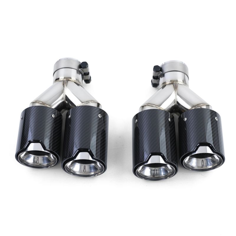 Terminali Scarico Doppi in Acciaio Inox con Rivestimento Carbonio per BMW