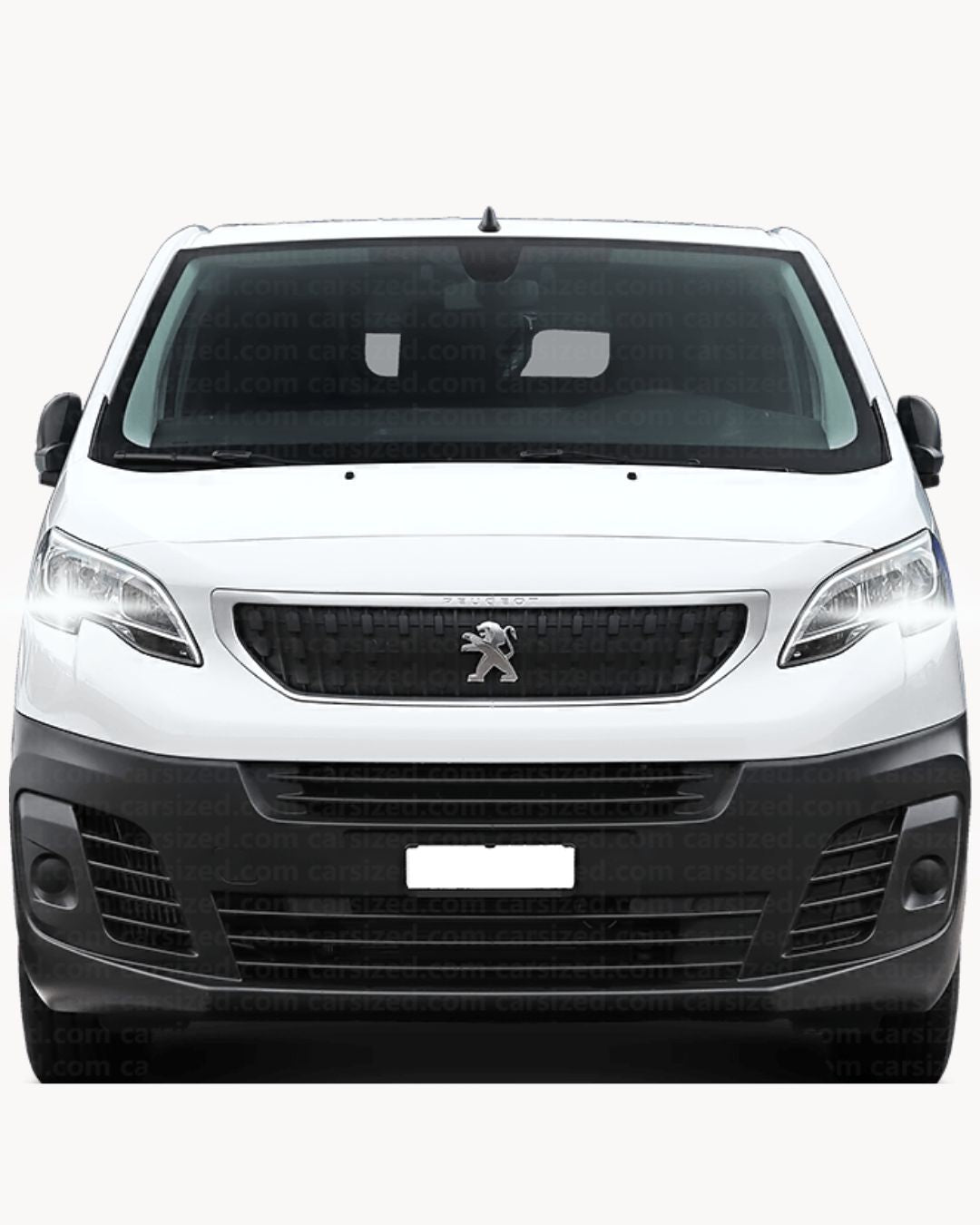 COPPIA LUCI DIURNE DRL 15 LED T20 CANBUS PEUGEOT EXPERT MK3 6000K 100% NO ERROR