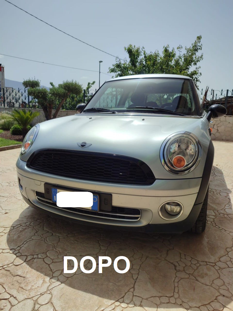 GRIGLIA ANTERIORE SPORT MINI COOPER R55 R56 R57 R58 06-13 NIDO D'APE MASCHERINA