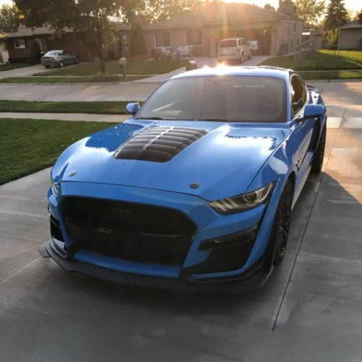 🐆cofano adatto per Mustang 15-17 GT EcoBoost V6 GT500🐆