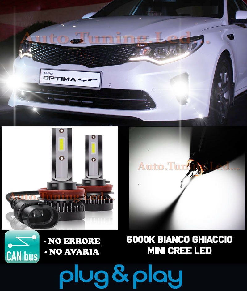LAMPADE FENDINEBBIA A LED CREE KIA OPTIMA CAMBUS BIANCO GHIACCIO 8000LM