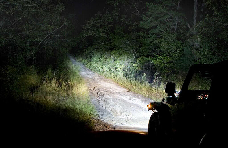 LED LOW BEAM LAMPS RENAULT CLIO 1998-2003 INSTANT FLASH