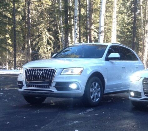 H11 LED FOG LIGHTS CREE RESISTANCE CANBUS 6000K AUDI Q5 Q3 Q7