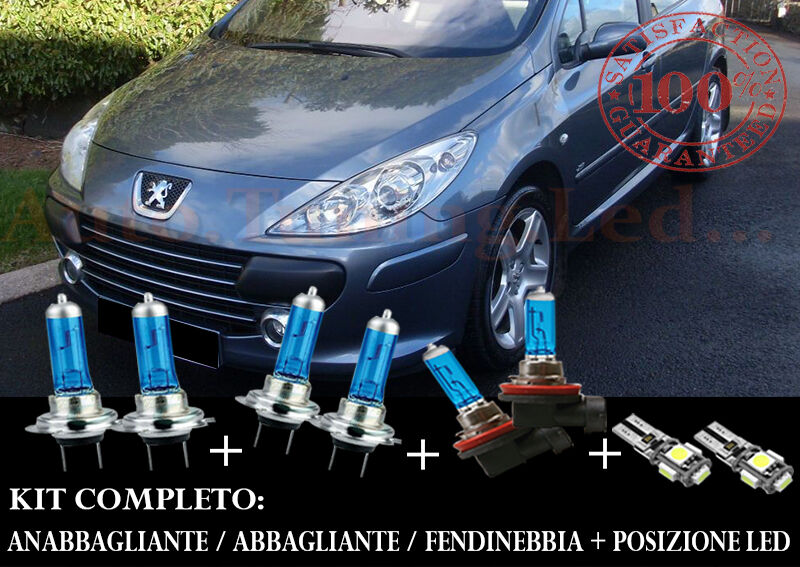 PEUGEOT 307 2000-2008 SET COMPLETO LAMPADE BLU XENON + POSIZIONE A LED