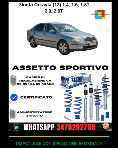🔥Assetto sportivo adatto per Skoda Octavia (1Z) 1.4, 1.6, 1.8T, 2.0, 2.0T🔥