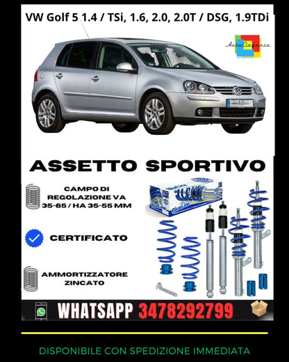 🔥Assetto sportivo per VW Golf 5 1.4 / TSi, 1.6, 2.0, 2.0T / DSG, 1.9TDi🔥