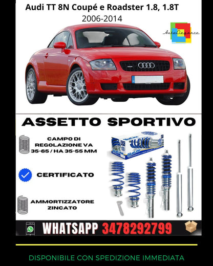 🔥Assetto sportivo ADATTO PER  Audi TT 8N Coupé e Roadster 1.8, 1.8T 2006-2014🔥