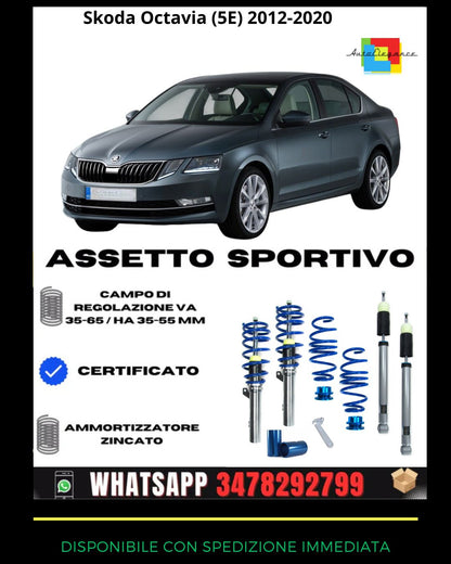 🔥Assetto sportivo adatto per Skoda Octavia (5E), 2012-2020🔥