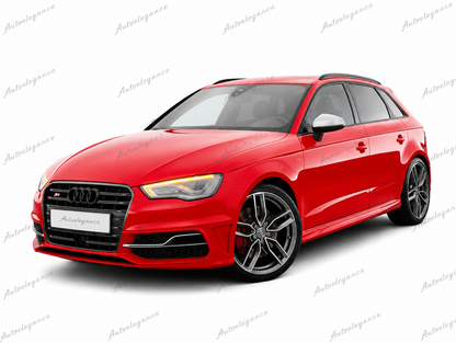 🔥ART.0678 GRIGLIA ADATTO PER AUDI A3 8V 12-16 LOOK S3 TITANIO PROFILI CROMAT🔥