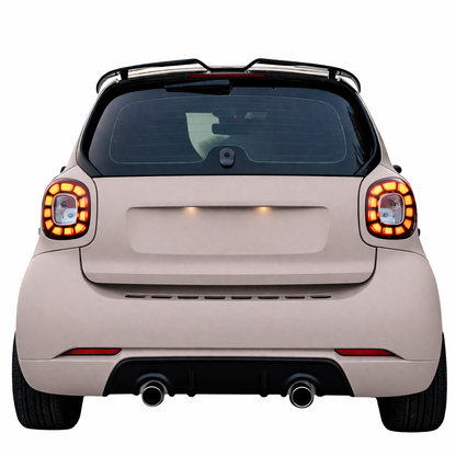 💫Spoiler Tetto in ABS per Smart Fortwo Fourfour 453💫