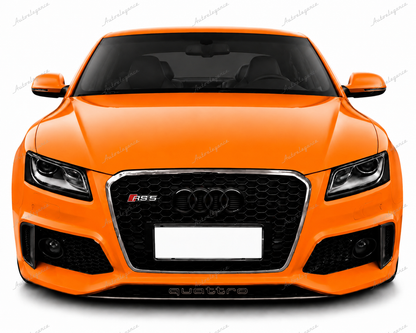🔥ART.0584 GRIGLIA ADATTO PER AUDI Q5 8R 2012-2016 LOOK RSQ5 BORDO CROMATO🔥
