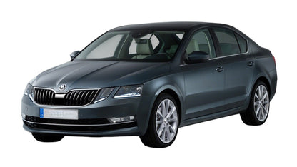 🔥Assetto sportivo adatto per Skoda Octavia (5E), 2012-2020🔥