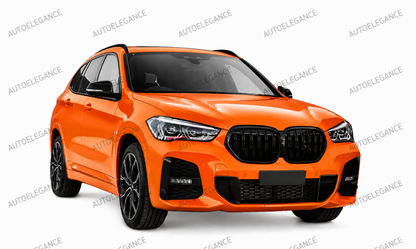 💫ART.10211 GRIGLIA BMW X1 F48 LCI 19-22 NERO LUCIDO💫