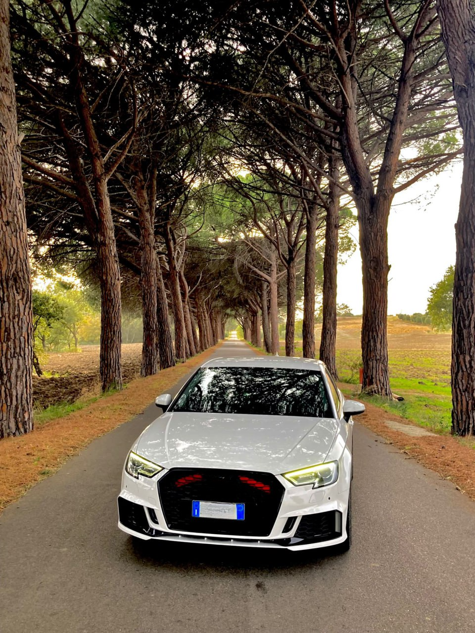 PARAURTI ANTERIORE ADATTO PER AUDI A3 8V 2017-2020 HATCHBACK LOOK RS3