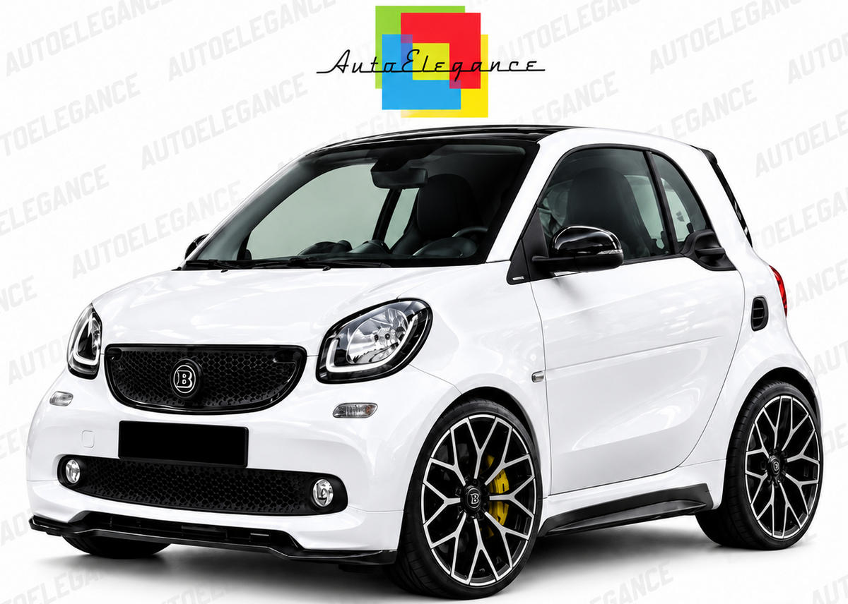 ART.0123 MINIGONNE SMART 453 fortwo ABS LOOK BRABUS (GREZZE)