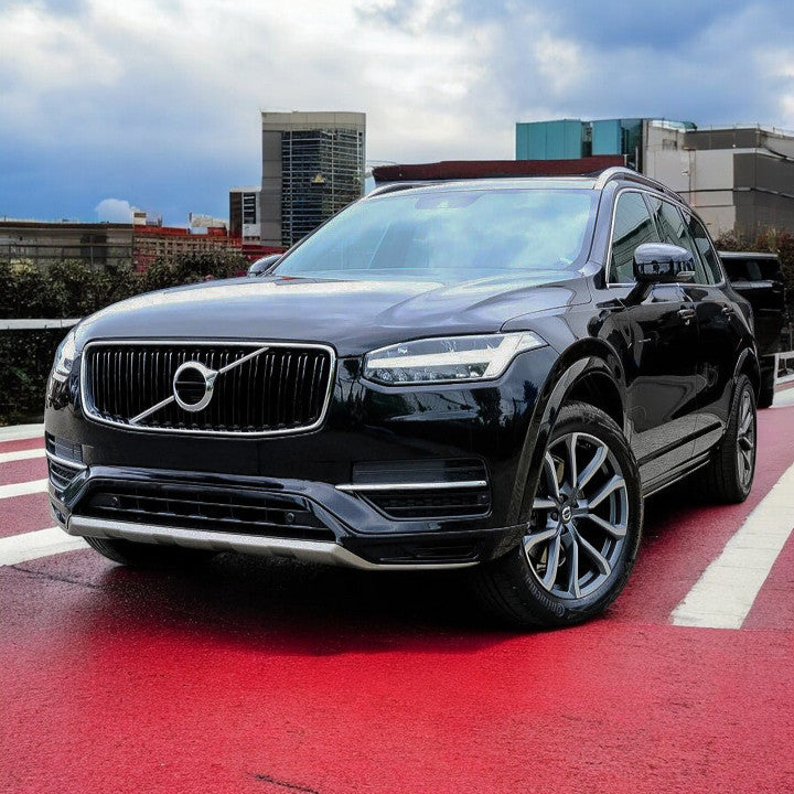 🔥Griglia adatta per Volvo XC90 II 2015-2019🔥