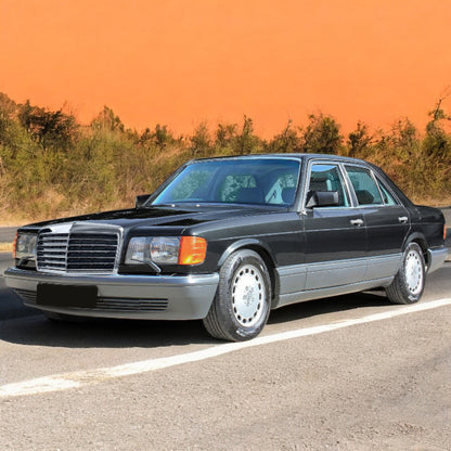 ❄️Griglia 12 Ribs Sport Look adatta per Mercedes W126 1980-1991❄️