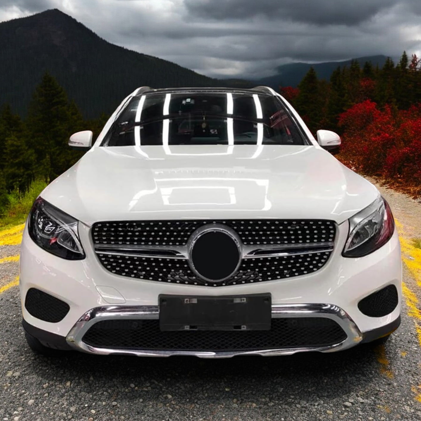 ⭐ Griglia Radiatore Argento Diamond adatto per Mercedes Benz GLC Classe X253 20⭐