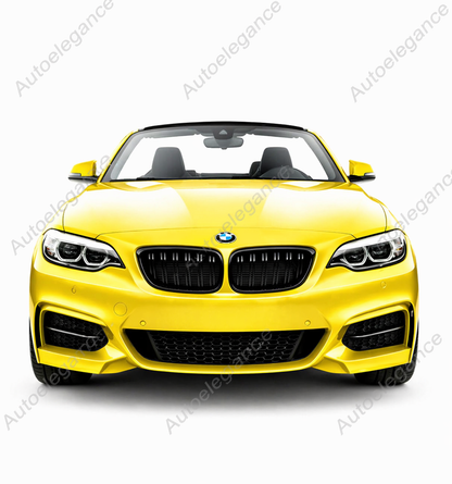 🔥GRIGLIA ANTERIORE A DOPPIO RENE PER BMW  2 F22 F23 F87 M2 NERO LUCIDO 14-18🔥