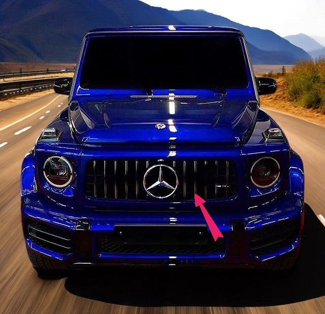 🤩Griglia Calandra per Mercedes Classe G W463 02-17 G63 GT-R Panamericana🤩