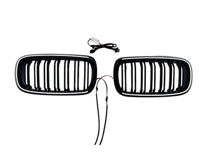 ART.7647  GRIGLIA CON LED BWM X5 F15 X6 F16