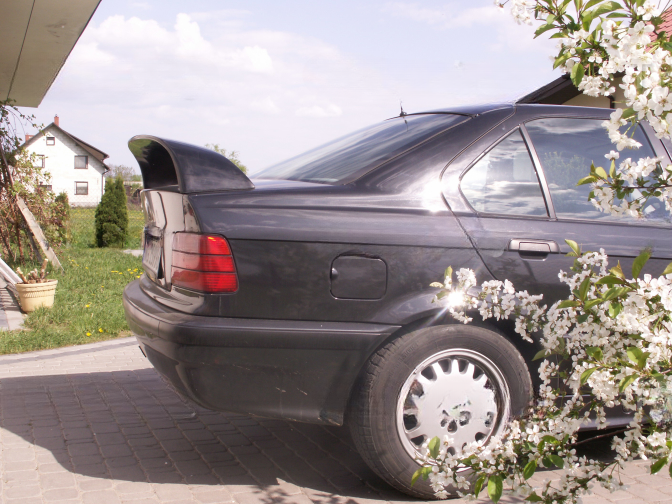 ❤️Spoiler Posteriore Alto Compatibile con BMW E36 Berlina❤️