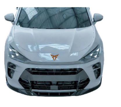 BODYKIT ADATTO  PER  CUPRA  TERRAMAR 2024+