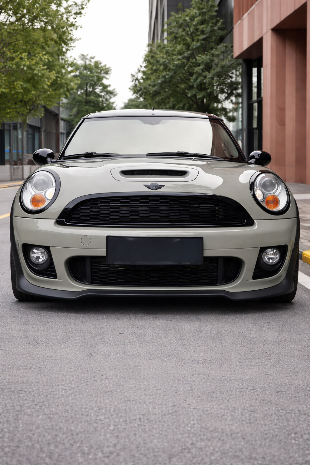 💫ART.8424 Griglia Anteriore per Mini R55-R59 Cooper S & JCW 2007-2015💫