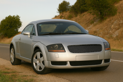 ✨ART.5606 GRIGLIA SPORT CHROMATO ADATTO PER AUDI TT 99-06✨