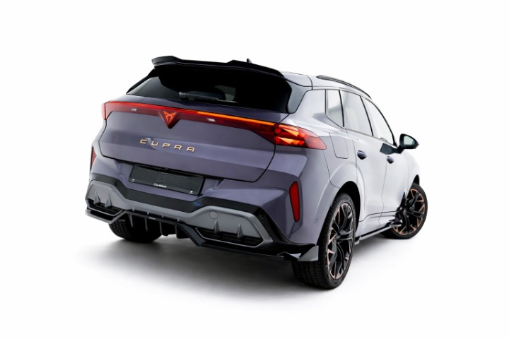 💕ART.8421 SPLITTER  POSTERIORI CUPRA TERRAMAR Mk1💕