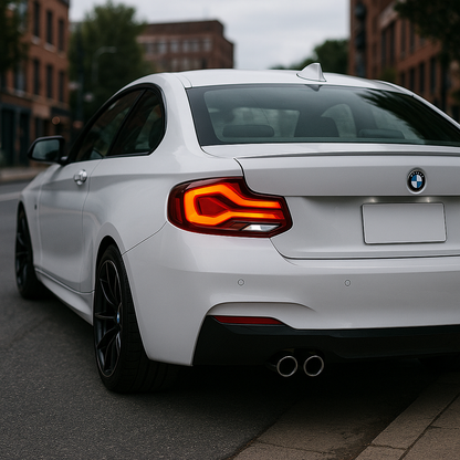 ⭐FARI POSTERIORI A LED ROSSO FUMO ADATTO PER BMW F22 F23 F87 14-21⭐