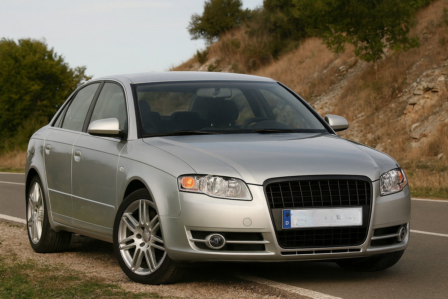 ✨ART.5596 GRIGLIA SPORT NERA ADATTO PER AUDI A4 B7 04-08✨