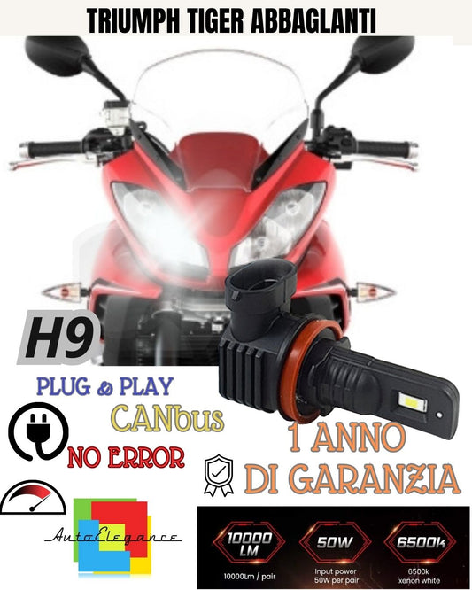 LAMPADA LED H9 3000 LUMEN CANBUS TRIUMPH TIGER 1050 ABBAGLIANTE 6000K NO ERROR