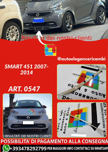 ART. 0547 SPLITTER SMART 451 2007-2014 GREZZO