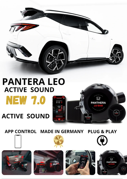 💕Sound Booster Panthera Scarico Elettronico Active Exhaust Hyundai Tucson Mk4💕