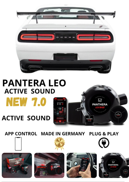💕 Sound Booster Adatto per DODGE CHALLENGER MK3 Active Exhaust Sportivo 💕