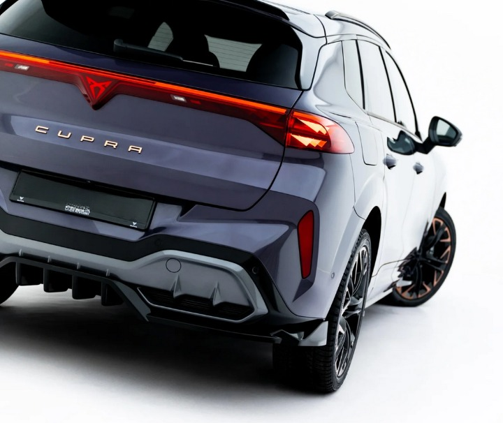 💕ART.8421 SPLITTER  POSTERIORI CUPRA TERRAMAR Mk1💕