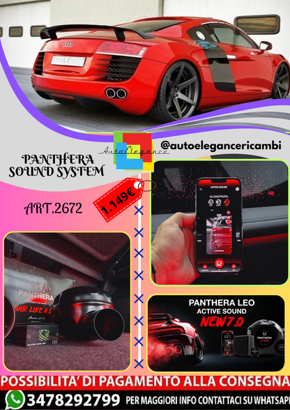 🔥ART.2672 PANTHERA SOUND SYSTEM ADATTO PER AUDI R8 Mk.1🔥