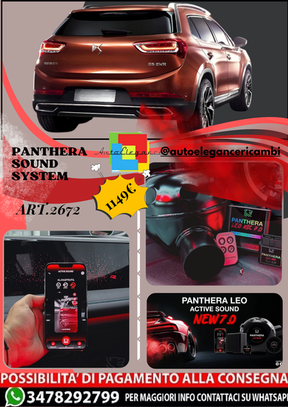 🎀ART.2672 PANTHERA SOUND SYSTEM ADATTO PER DS 6WR🎀