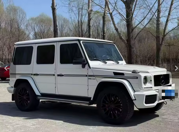 💕ART.8270 GRIGLIA Mercedes Benz G Class W463 AMG 1990-2018 💕