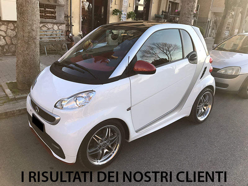 ART. 0547 SPLITTER SMART 451 2007-2014 GREZZO