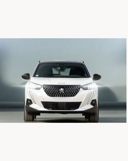KIT FARI FULL LED PEUGEOT 2008 ANABBAGLIANTI ABBAGLIANTI 6000K CANBUS NO ERROR