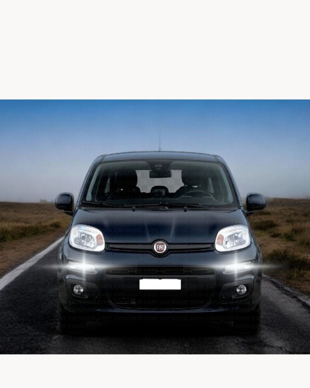 😍COPPIA LUCI DIURNE DRL 15 LED P21W BAY15D CANBUS🥰 FIAT PANDA 3° 6000K🥰