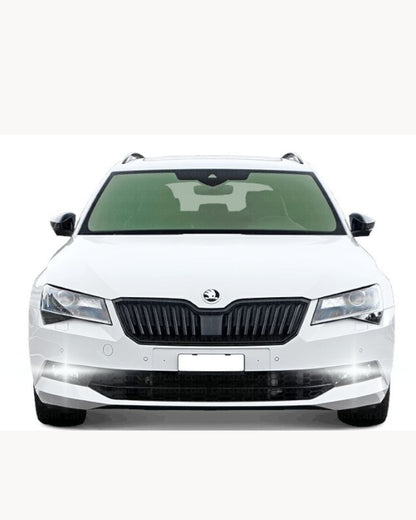 ❤️‍🔥😍COPPIA LAMPADE DIURNE DRL 15 LED P21W CANBUS SKODA SUPERB II 6000K CANBUS