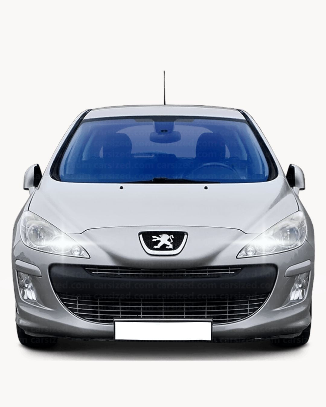 ❤️‍🔥COPPIA LUCI DIURNE DRL 15 LED P21W BAY15D CANBUS❤️‍🔥PEUGEOT 308❤️MK1 6000K
