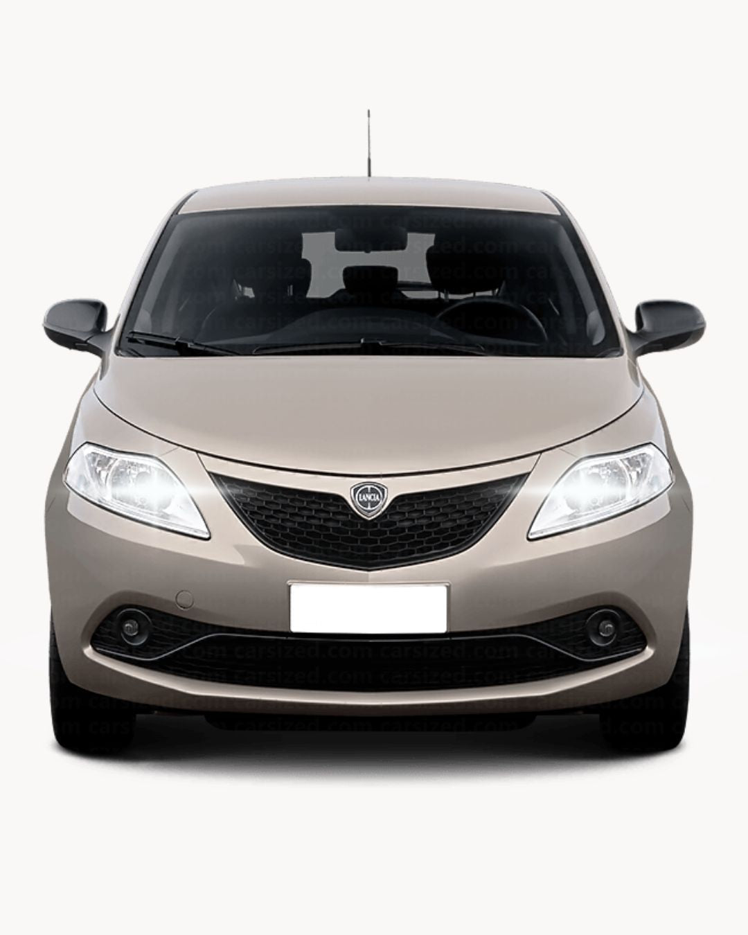 COPPIA LUCI DI POSIZIONE 10 LED LANCIA YPSILON 312 T10 W5W CANBUS ULTRALUMINOSI