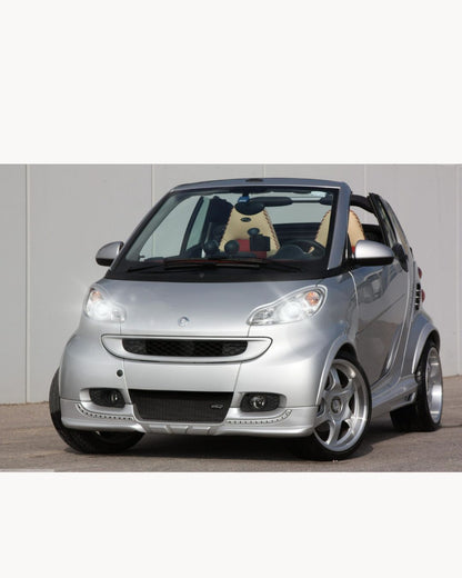 CONVERSIONE FARI FULL LED SMART FORTWO 451 LED 18400 LUMEN CANBUS BIANCO