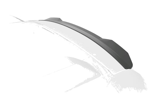 ALETTONE POSTERIORE adattato a Dacia Duster (1a Gen)