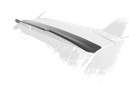 ALETTONE POSTERIORE adattato a Dacia Duster (1a Gen)